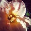 amygarcia324